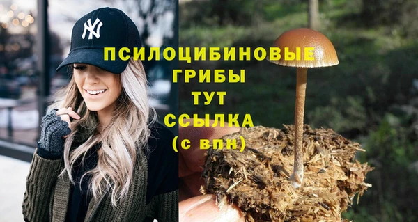 экстази Россошь